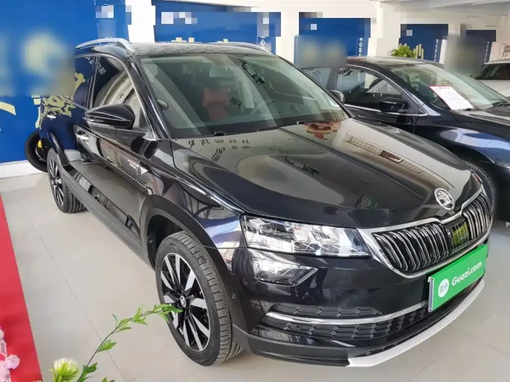 Skoda Karoq 2021 из CN, фото 6