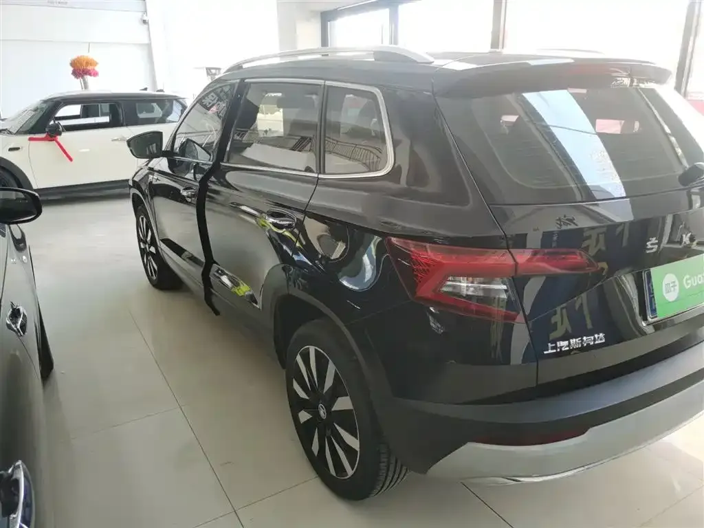 Skoda Karoq 2021 из CN, фото 4