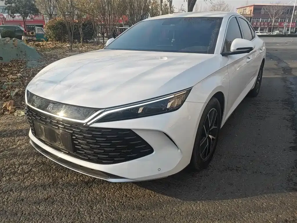 BYD Qin L 2024 из CN, фото 1