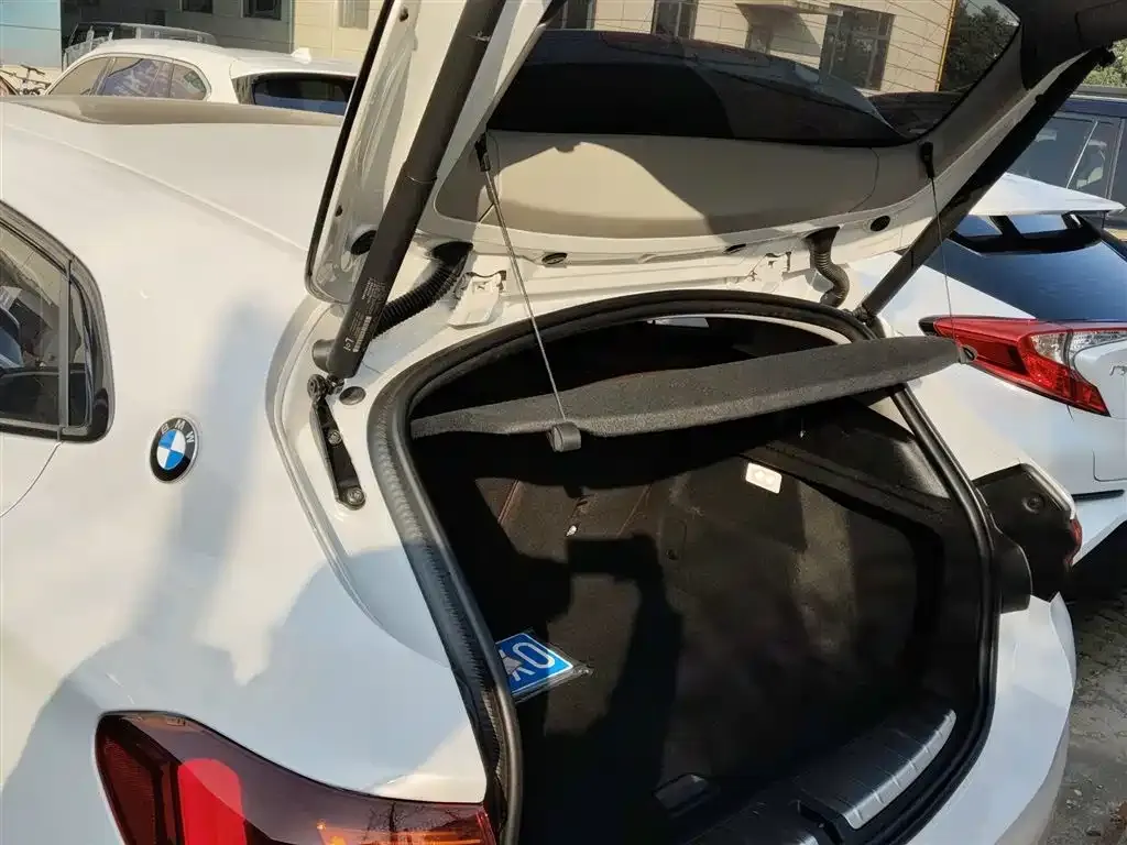 BMW X2 2023 из CN, фото 9