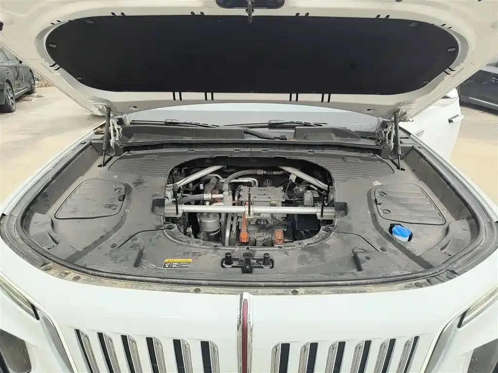 Hongqi E-HS9 2023 из CN, фото 7