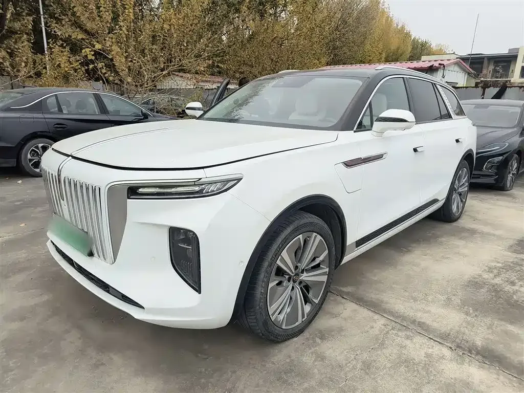 Hongqi E-HS9 2023 из CN, фото 10