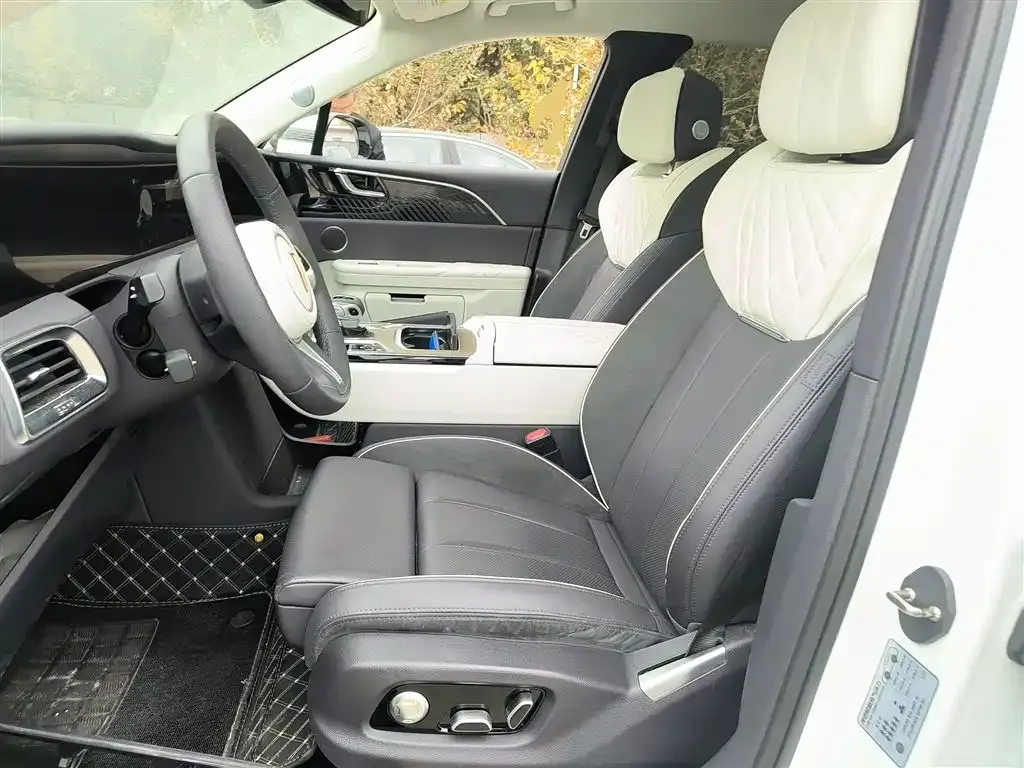 Hongqi E-HS9 2023 из CN, фото 2
