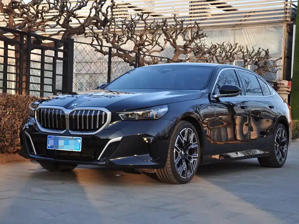 BMW 5 Series 2024 из CN, фото 1