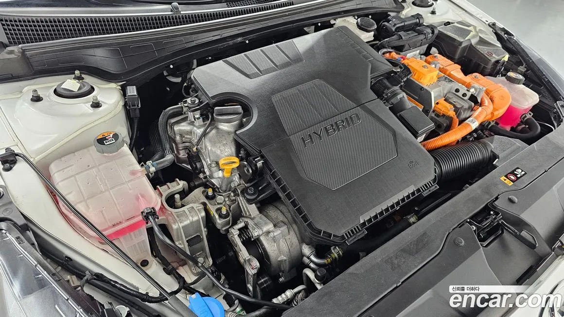 Hyundai AVANTE 2023 из KR, фото 6