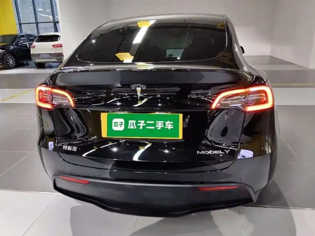 [object Object] Model Y 2023 из CN, фото 6