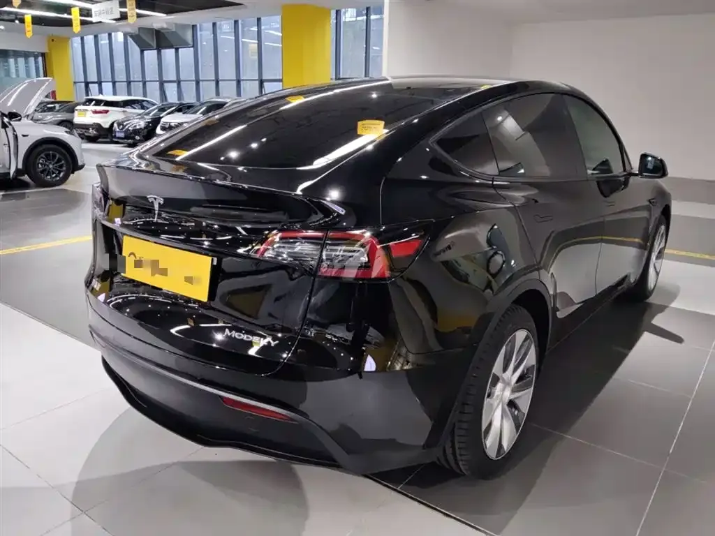 [object Object] Model Y 2023 из CN, фото 7