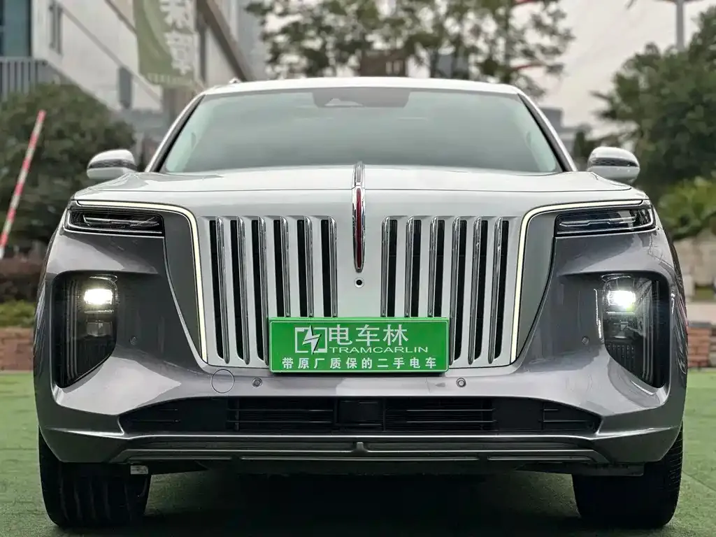 Hongqi E-HS9 — фото 4