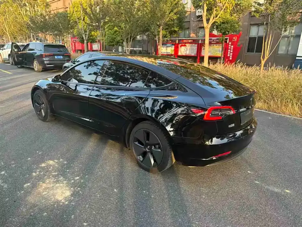 Tesla Model 3 2023 из CN, фото 2