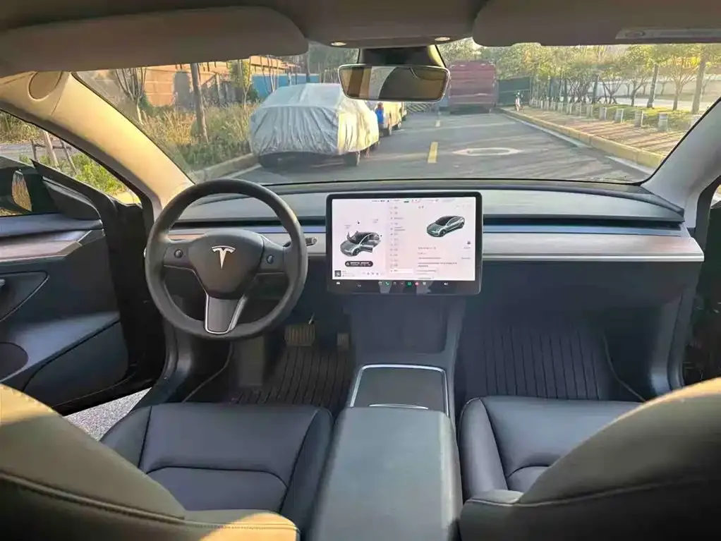 Tesla Model 3 2023 из CN, фото 6