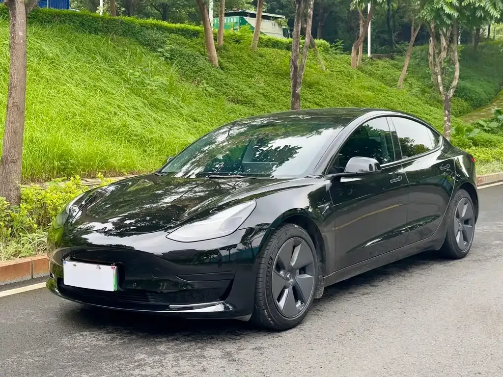 Tesla Model 3 2023 из CN, фото 1