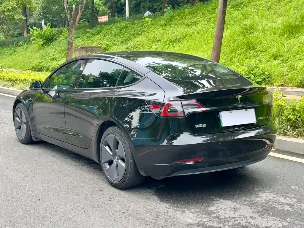 Tesla Model 3 2023 из CN, фото 4