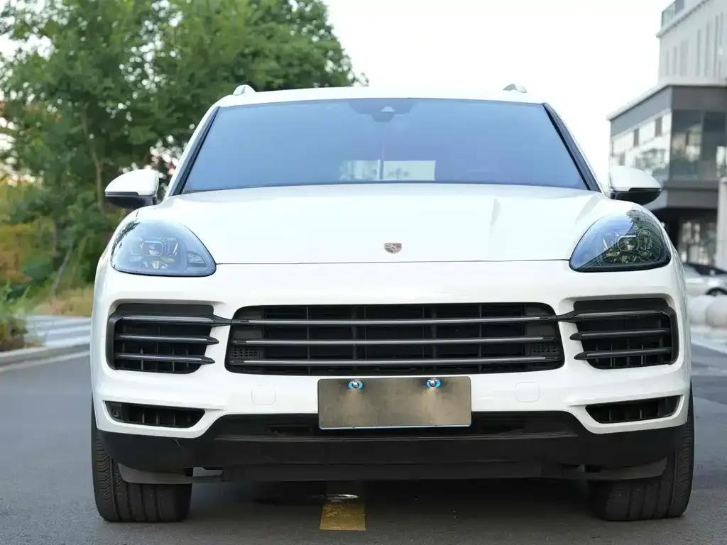Porsche Cayenne 2022 из CN, фото 4