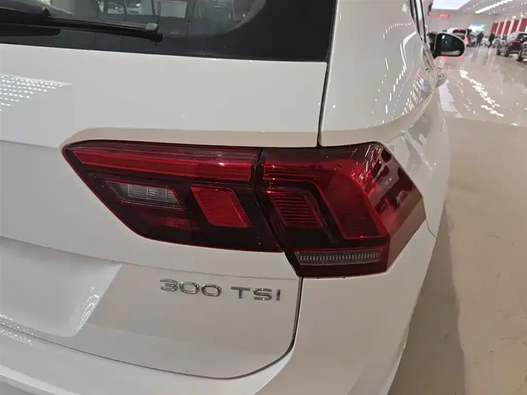 Volkswagen Tiguan L 2023 из CN, фото 2