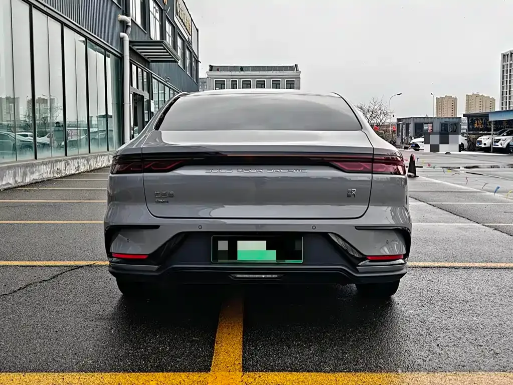 BYD Han — фото 10