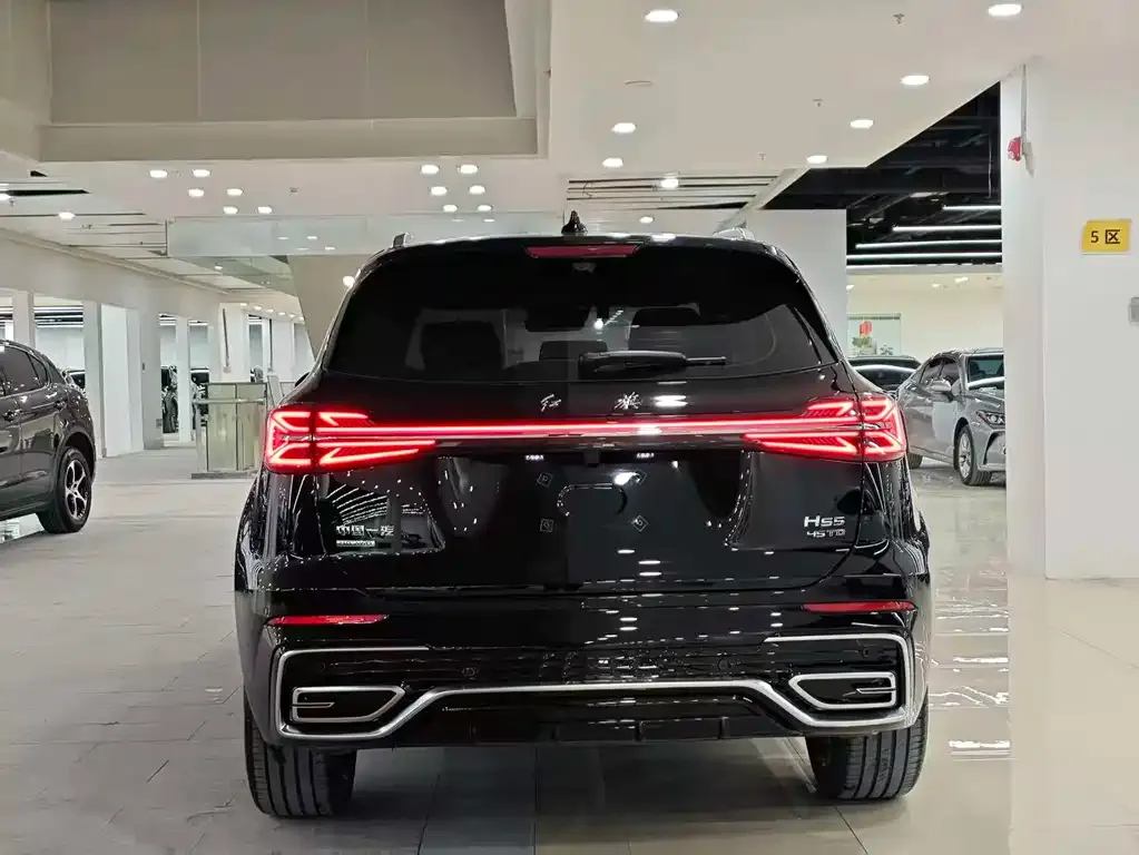 Hongqi HS5 2024 из CN, фото 5