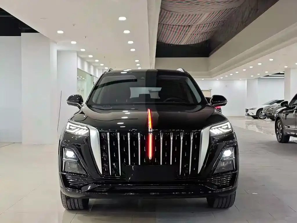 Hongqi HS5 2024 из CN, фото 8