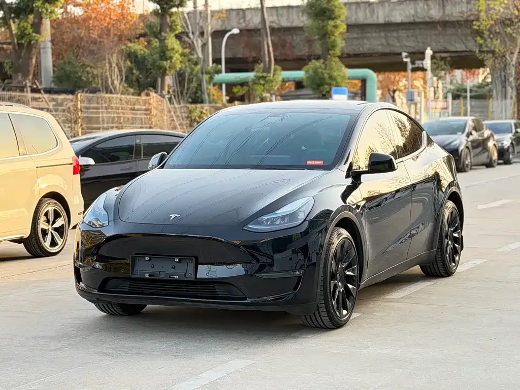 Tesla Model Y — фото 1
