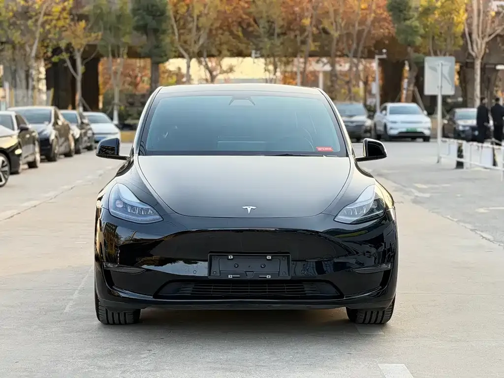 Tesla Model Y — фото 2