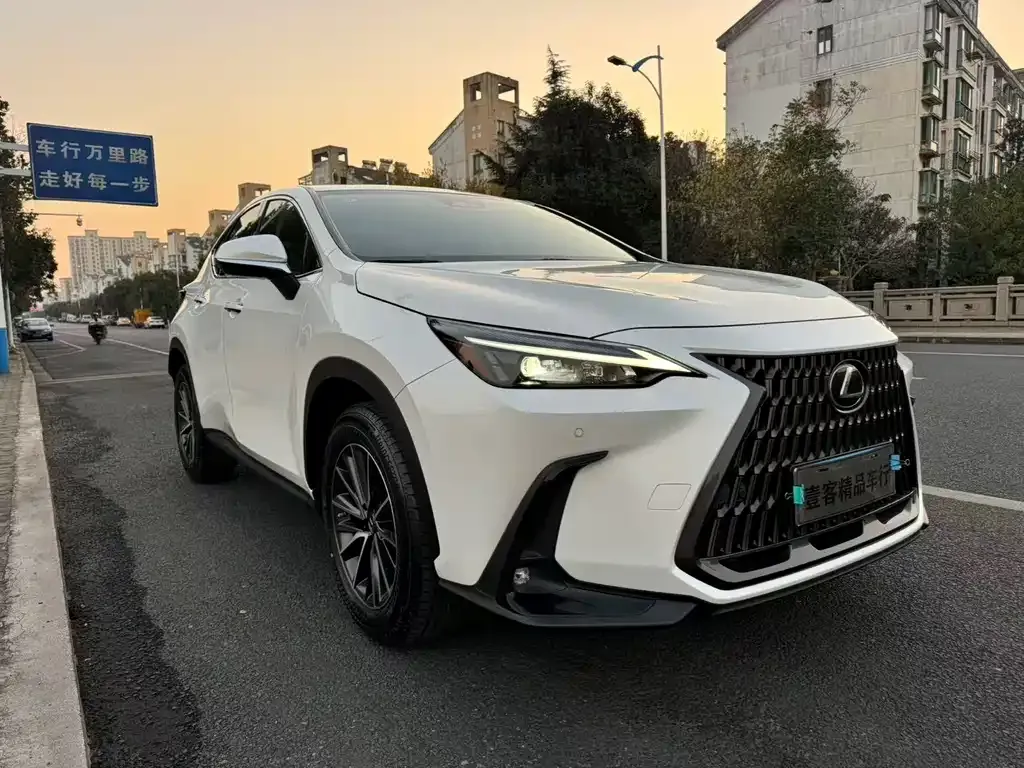 Lexus NX 2022 из CN, фото 1