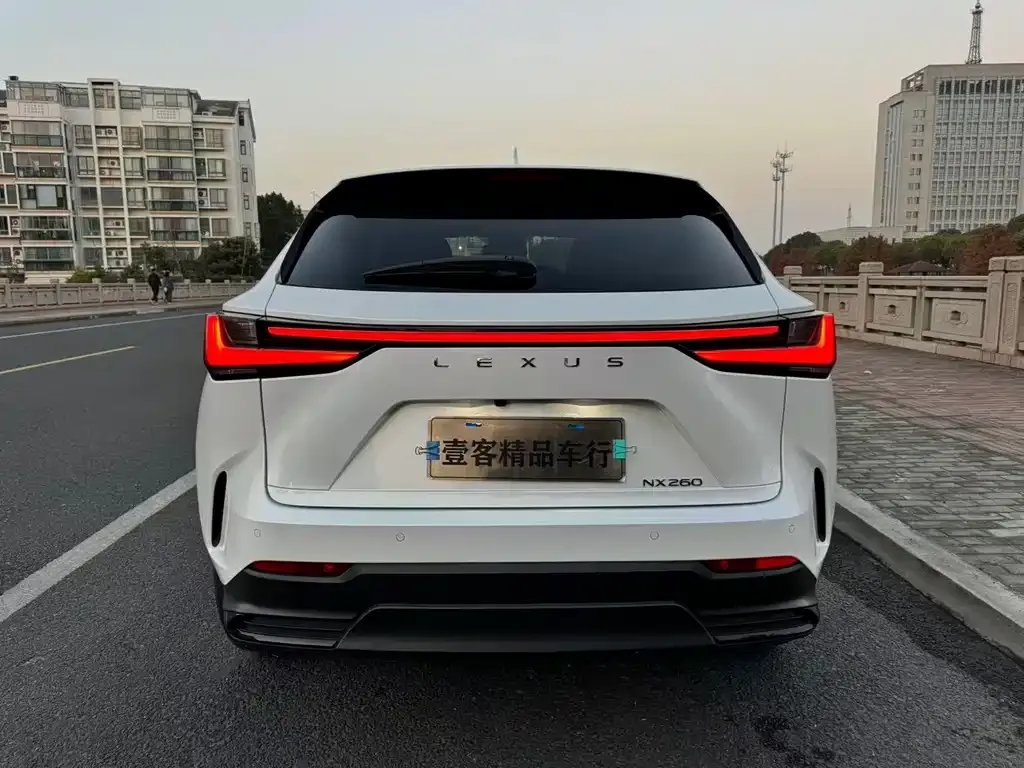 Lexus NX 2022 из CN, фото 7