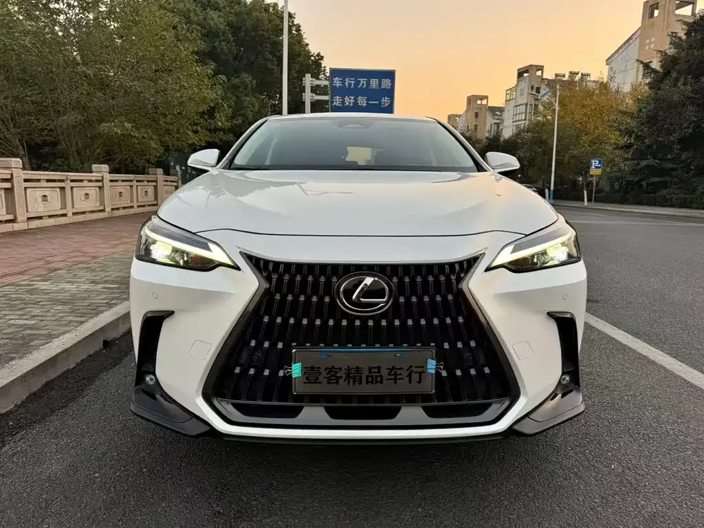 Lexus NX 2022 из CN, фото 5