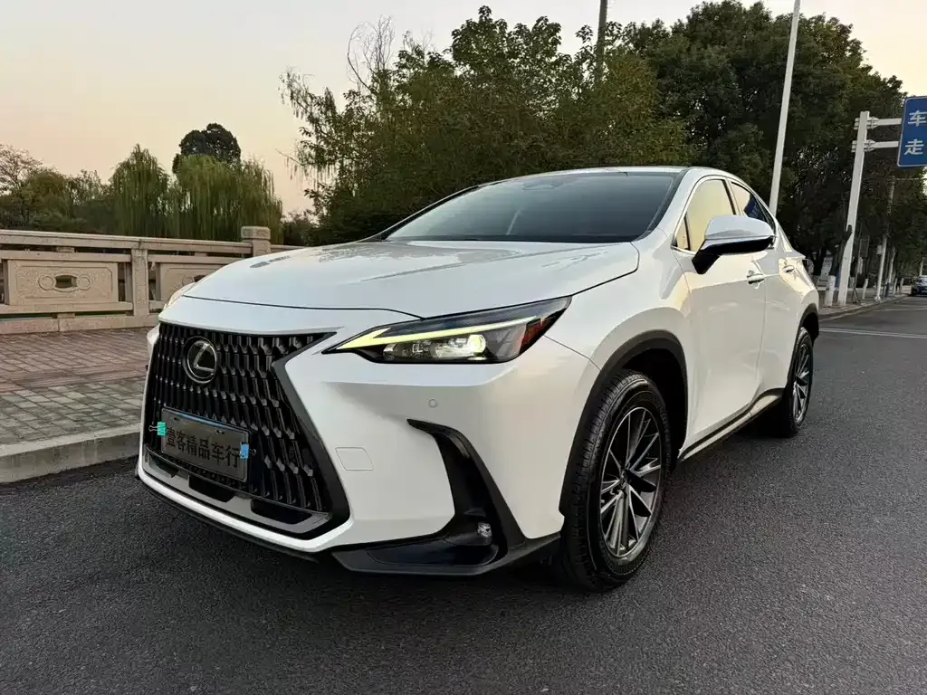 Lexus NX 2022 из CN, фото 8