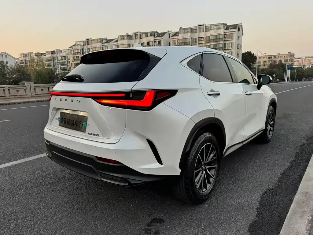Lexus NX 2022 из CN, фото 9