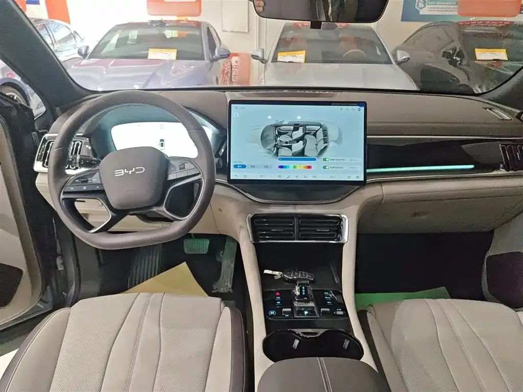 BYD PLUS New Energy 2025 из CN, фото 2