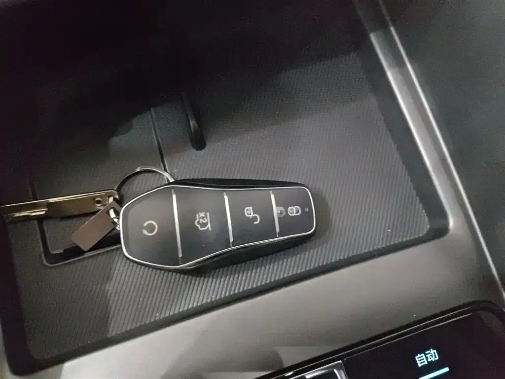 BYD PLUS New Energy 2025 из CN, фото 8