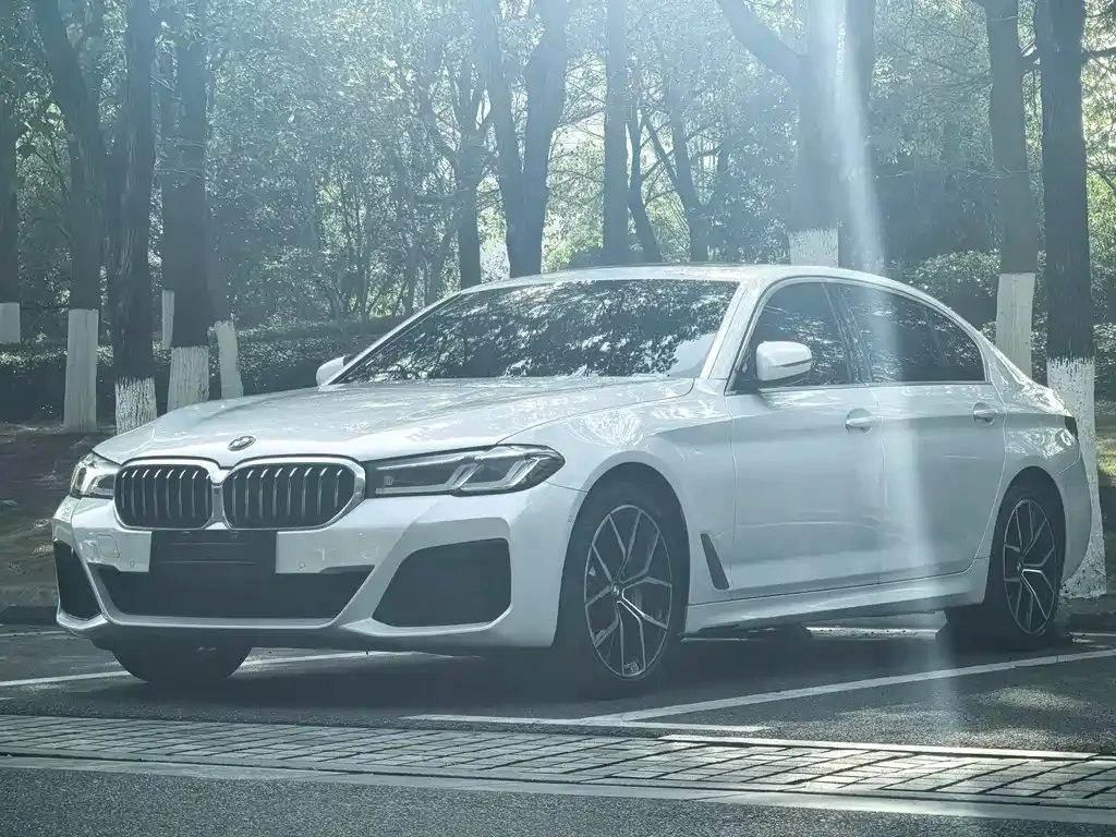 BMW 5 Series — фото 1