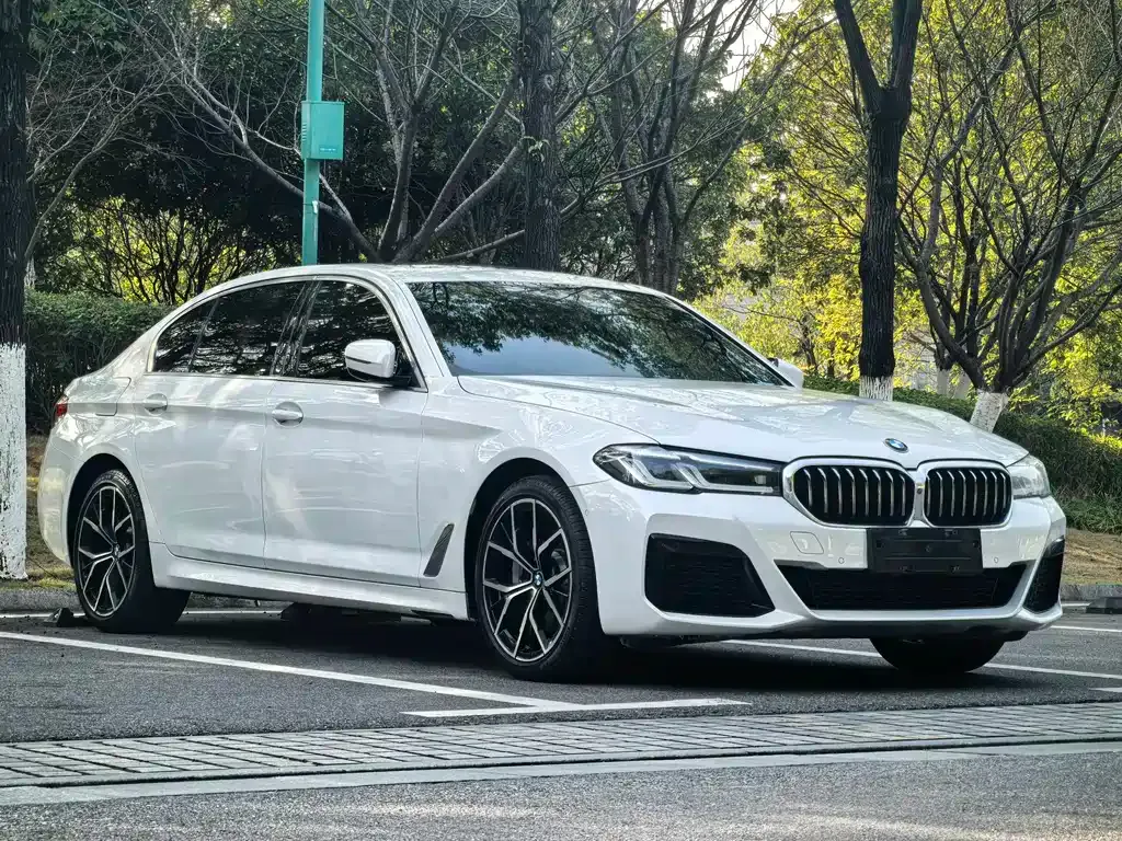 BMW 5 Series — фото 10