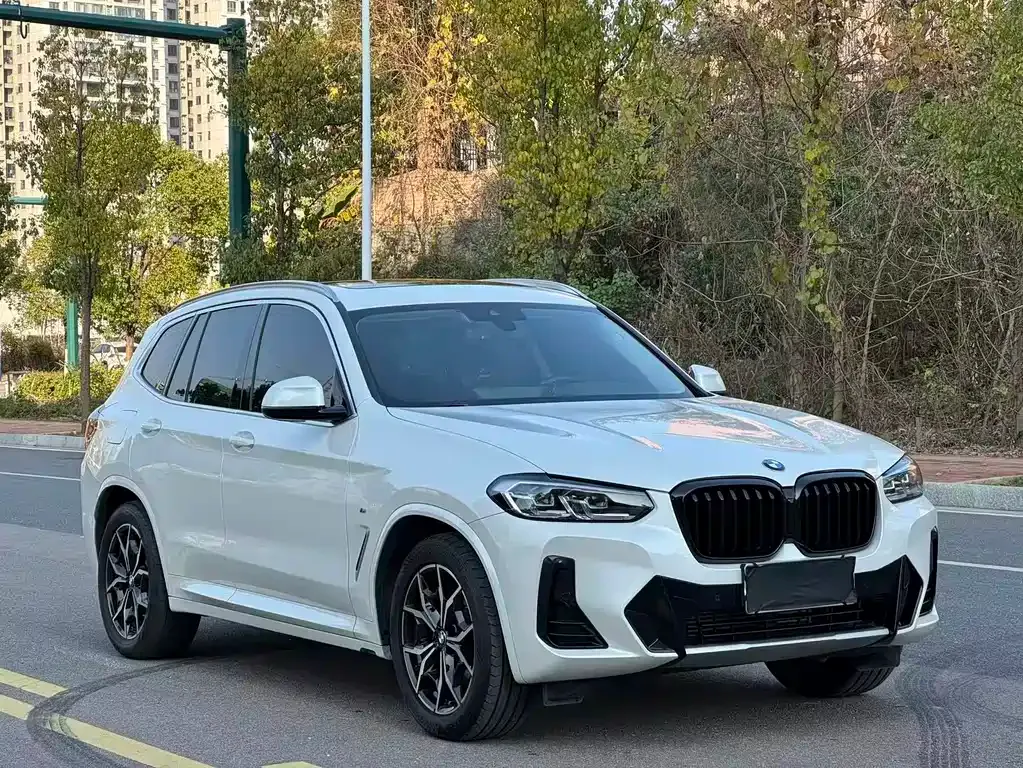BMW X3 2022 из CN, фото 8