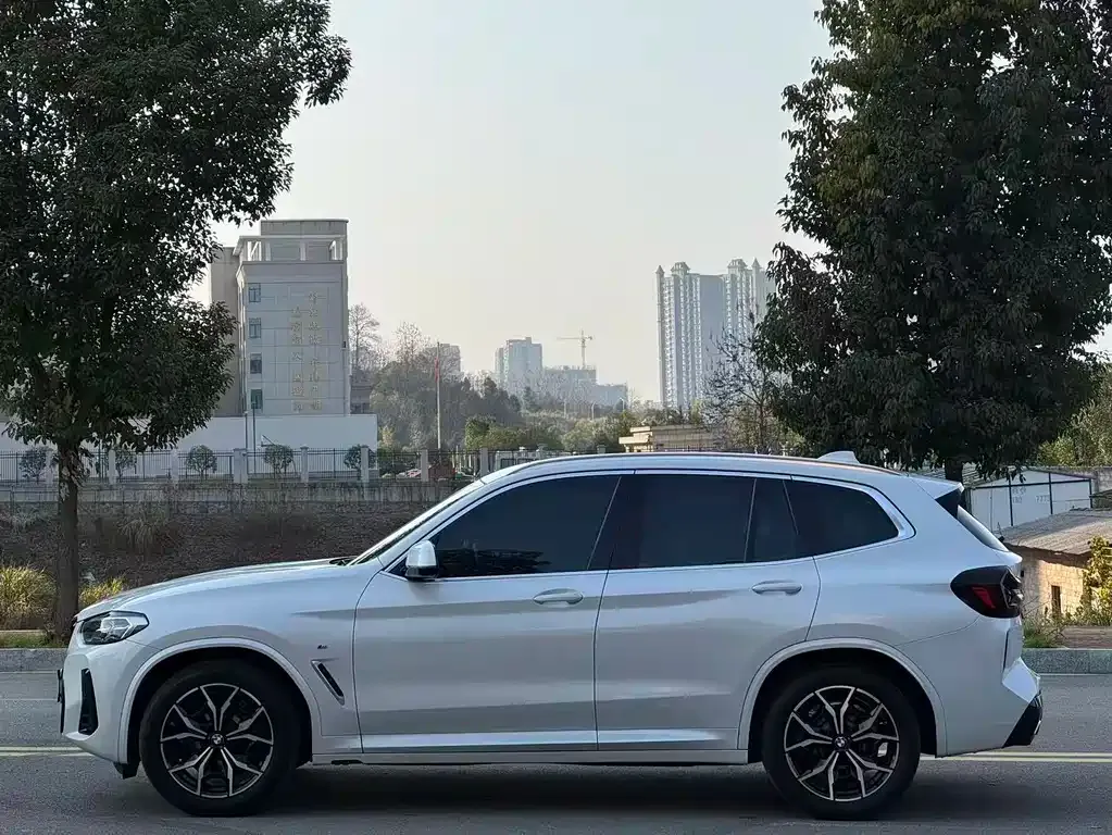 BMW X3 2022 из CN, фото 6