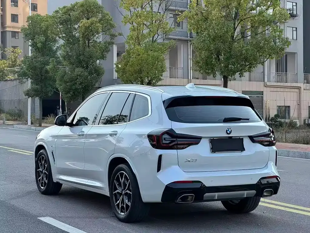 BMW X3 2022 из CN, фото 10