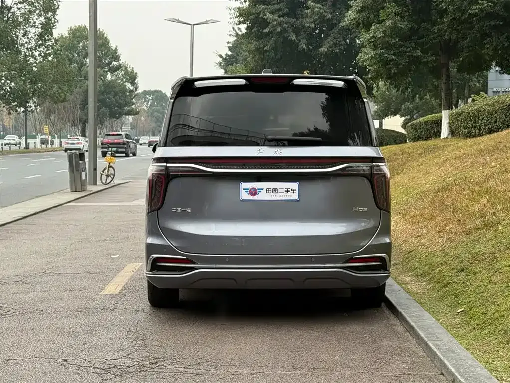 Hongqi HQ9 2023 из CN, фото 3