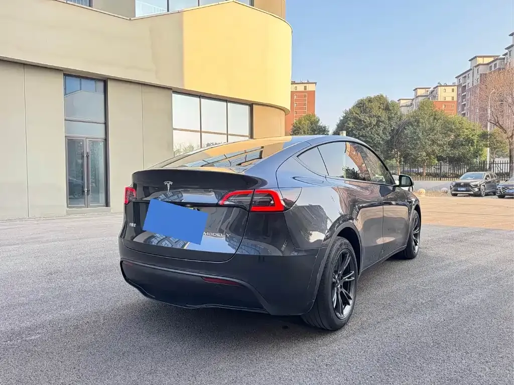 Tesla Model Y — фото 8