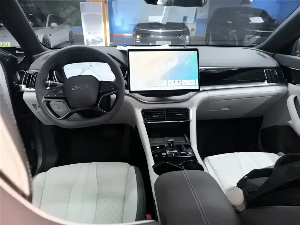 BYD PLUS New Energy — фото 10
