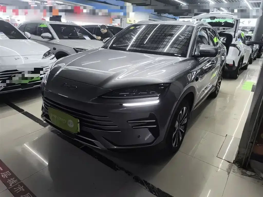BYD PLUS New Energy — фото 2