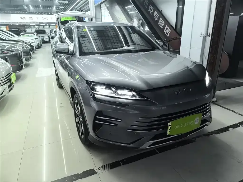 BYD PLUS New Energy — фото 4