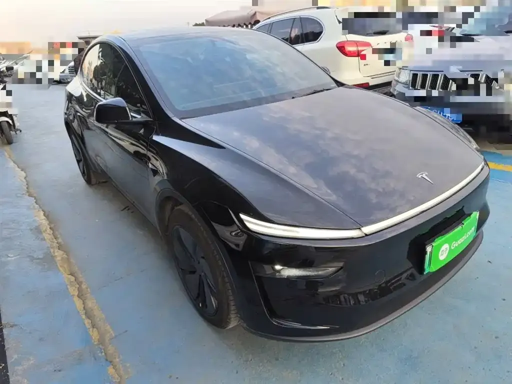 Tesla Model Y 2025 из CN, фото 5