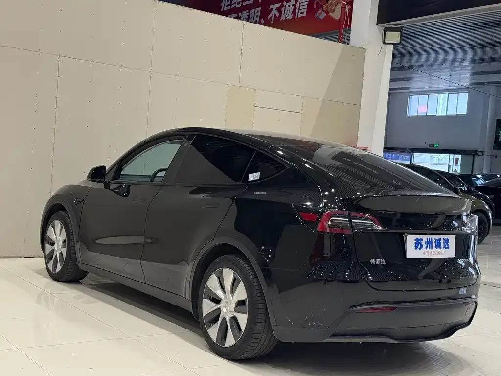 Tesla Model Y — фото 10