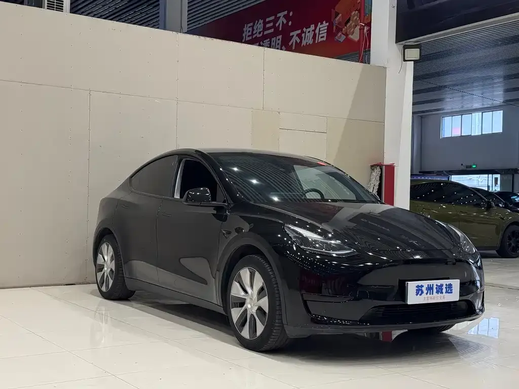 Tesla Model Y — фото 2