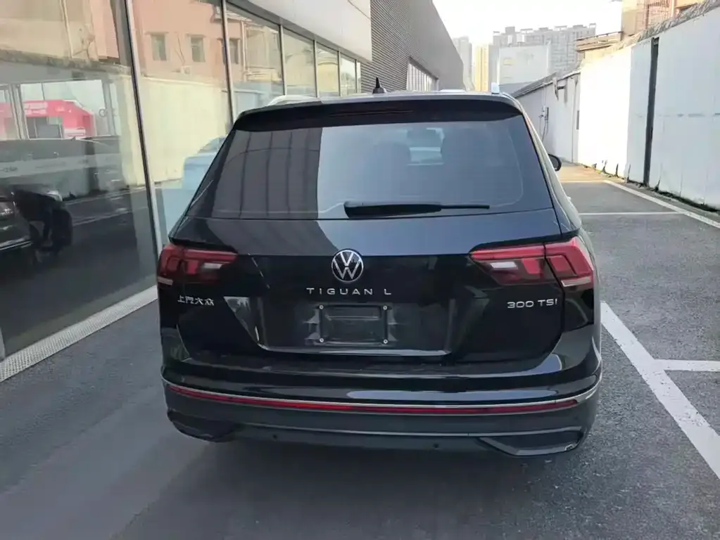 Volkswagen Tiguan L 2024 из CN, фото 9