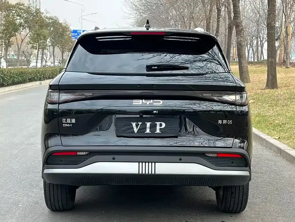 BYD Seal 05 DM-i 2025 из CN, фото 9