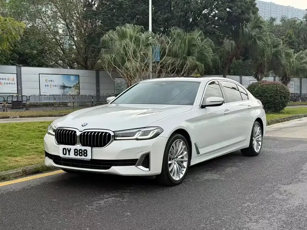 BMW 5 Series 2021 из CN, фото 1