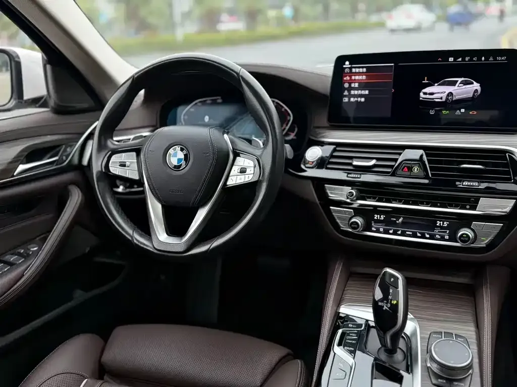 BMW 5 Series 2021 из CN, фото 2