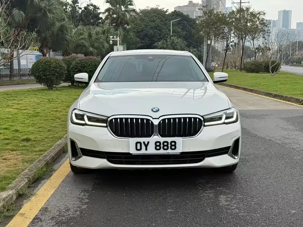BMW 5 Series 2021 из CN, фото 10