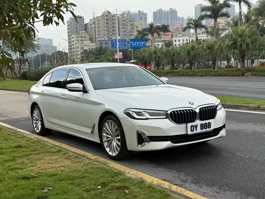 BMW 5 Series 2021 из CN, фото 5