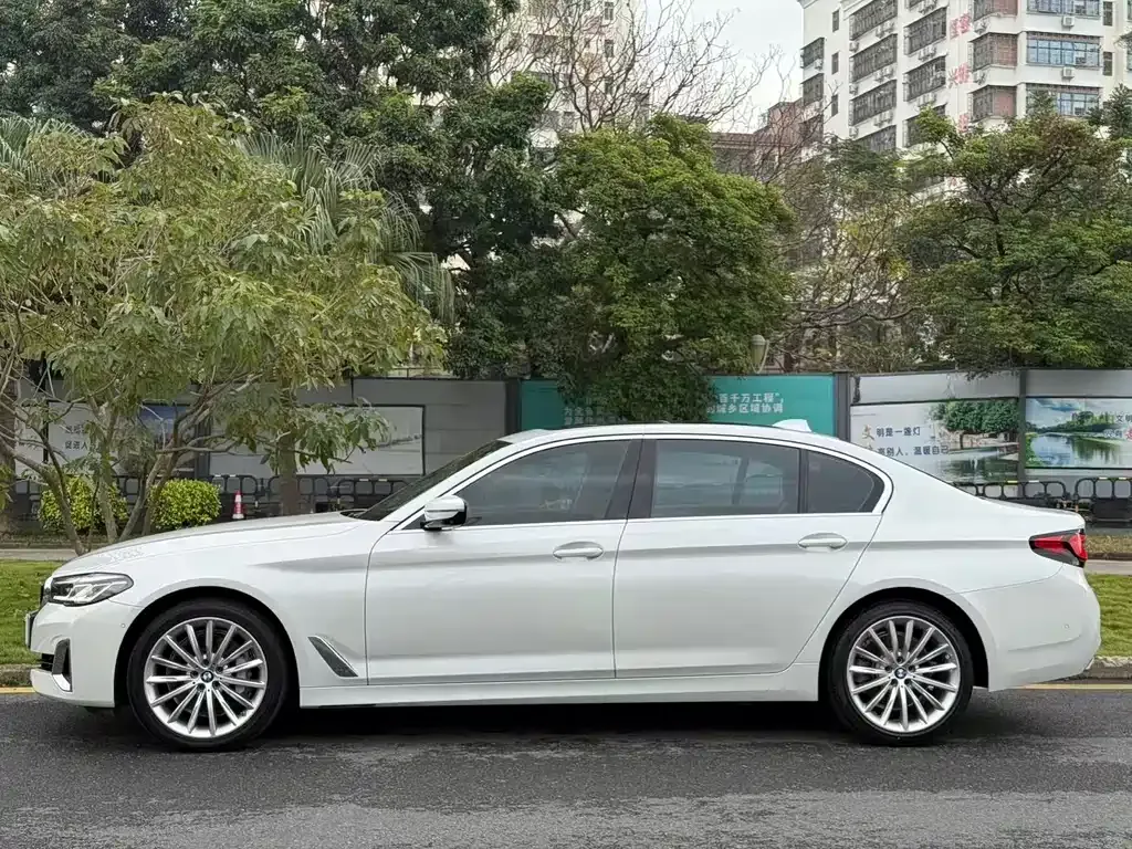 BMW 5 Series 2021 из CN, фото 8